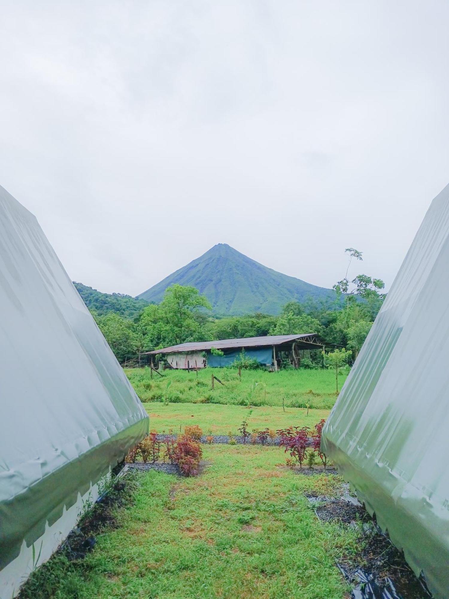 Flora Glamping De Abuela La Fortuna Exterior foto