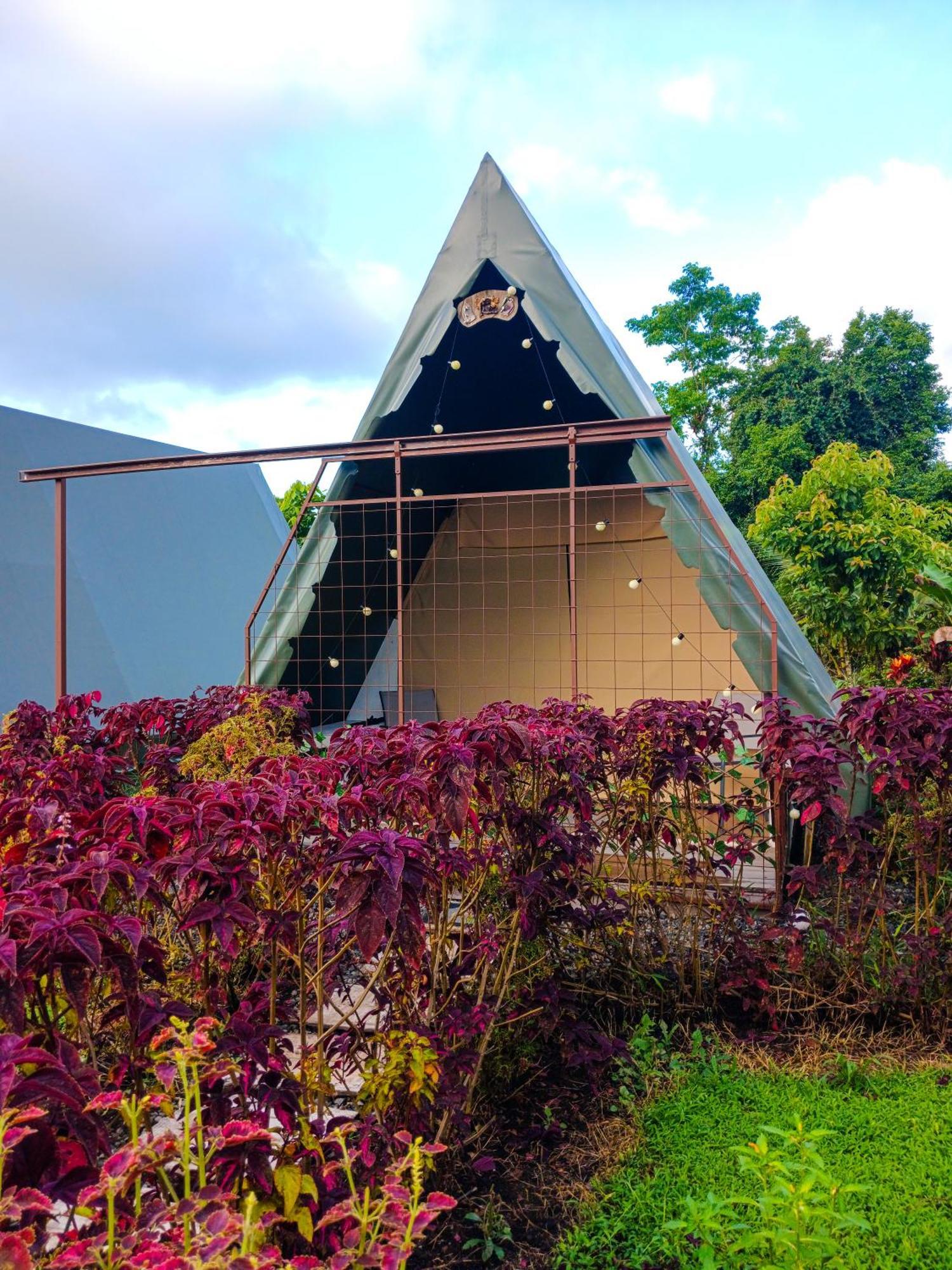 Flora Glamping De Abuela La Fortuna Exterior foto